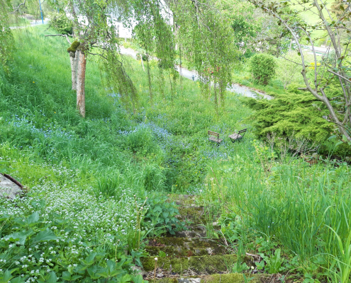 Früling in Schwalefeld