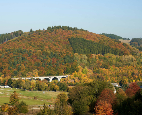 Zicht op Willingen met het viaduct