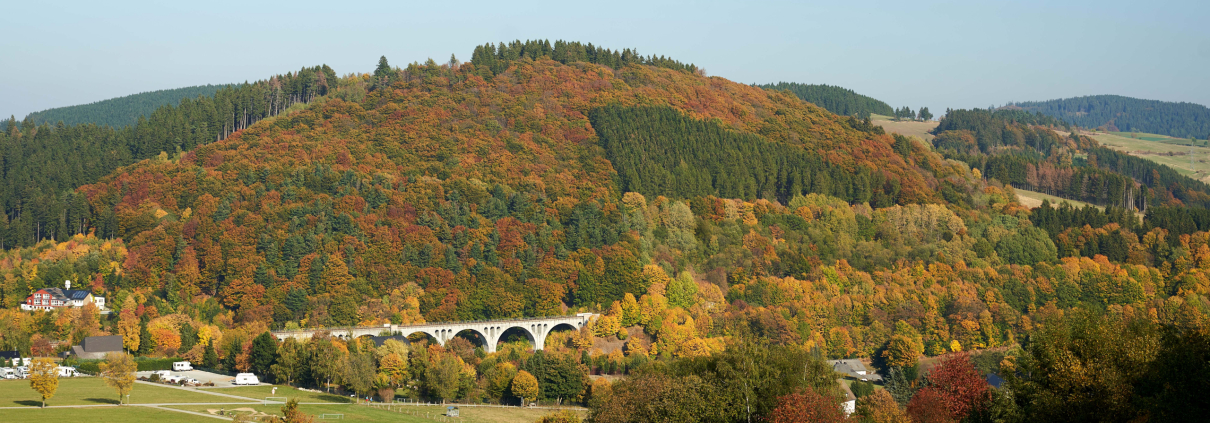 View of Willingen with the viaduct