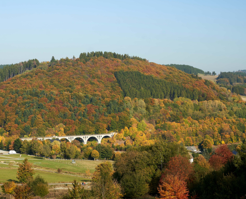 Blick auf Willingen mit dem Viadukt